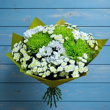 Букет скромность  в Аксаково Букет цветов из:  Хризантемы в Аксаково