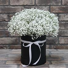Цветочная композиция из Гипсофила в шляпной коробке в Аксаково